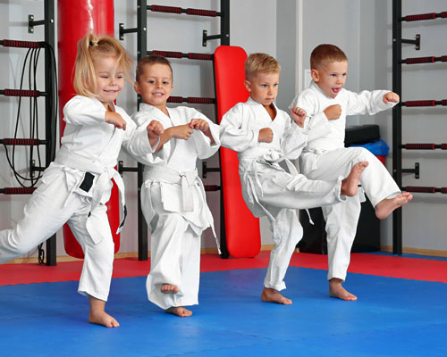Lehigh Valley Samurai Academy Children Students